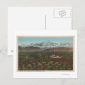 Redlands, CA - Mountain & Orchard Scene Briefkaart (Voorkant / Achterkant)
