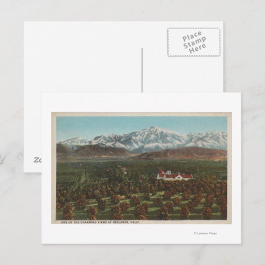 Redlands, CA - Mountain & Orchard Scene Briefkaart (Voorkant / Achterkant)