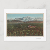 Redlands, CA - Mountain & Orchard Scene Briefkaart (Voorkant)