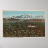 Redlands, CA - Mountain & Orchard Scene Poster (Voorkant)