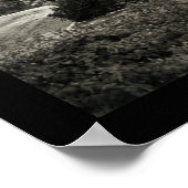 Redlands California Foto 1907 Poster (Hoek)