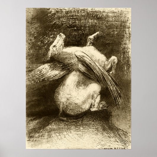 Redon - De krachtige Wing (Dierlijke Zwarte Ruimte Poster (Voorkant)