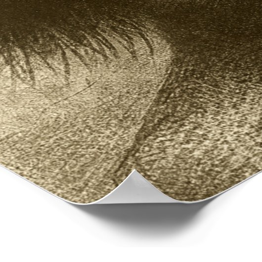 Redon - Deformed Polyp (glimlende ideeuze cyclops) Poster (Hoek)