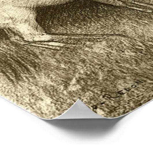 Redon - het aantal centra 1885 poster (Hoek)