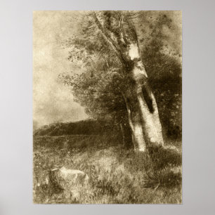 Redon - Landschap 1880 Poster