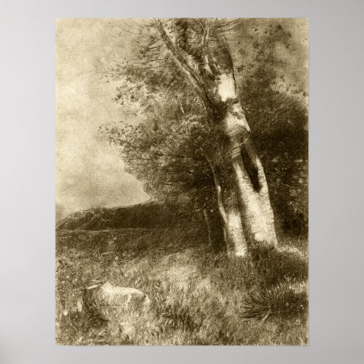 Redon - Landschap 1880 Poster (Voorkant)