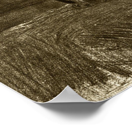 Redon - stilzwijgend bij mijn zijdemon Stirs 1890 Poster (Hoek)