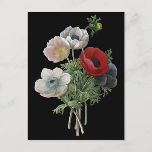 Redoute: Anemone, 1833 Briefkaart
