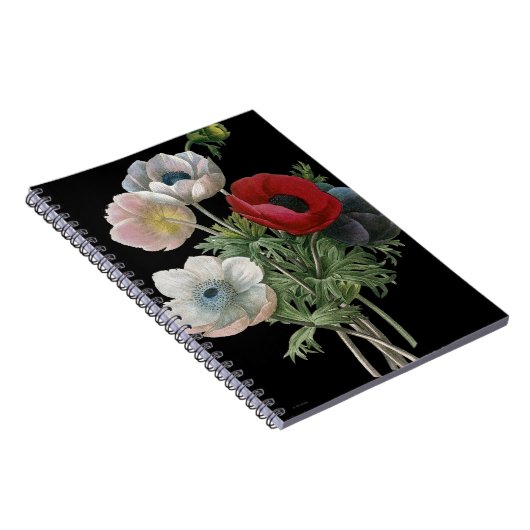 Redoute: Anemone, 1833 Notitieboek (Rechterzijde)