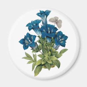 Redoute Blue Flower Magnet