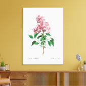 REDOUTÉ BOTANICAL "CHINESE LILA" CANVAS AFDRUK (Insitu (Woonkamer))