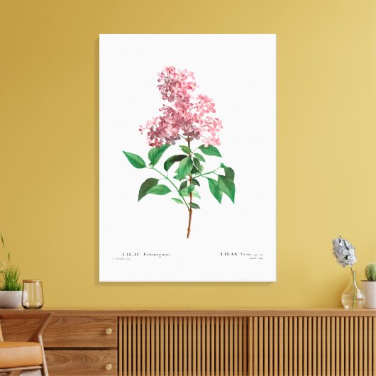 REDOUTÉ BOTANICAL "CHINESE LILA" CANVAS AFDRUK (Insitu (Woonkamer))