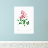 REDOUTÉ BOTANICAL "CHINESE LILA" CANVAS AFDRUK (Insitu (Houten vloer))