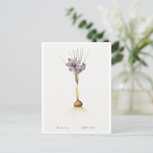 REDOUTÉ BOTANICAL "CROCUSS" BRIEFKAART (Staand voorkant)