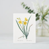 REDOUTÉ BOTANICAL "DAY LILY" BRIEFKAART (Staand voorkant)