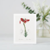 REDOUTÉ BOTANICAL "LILY" BRIEFKAART (Staand voorkant)