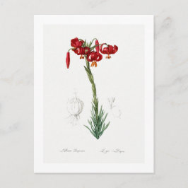 REDOUTÉ BOTANICAL "LILY" BRIEFKAART