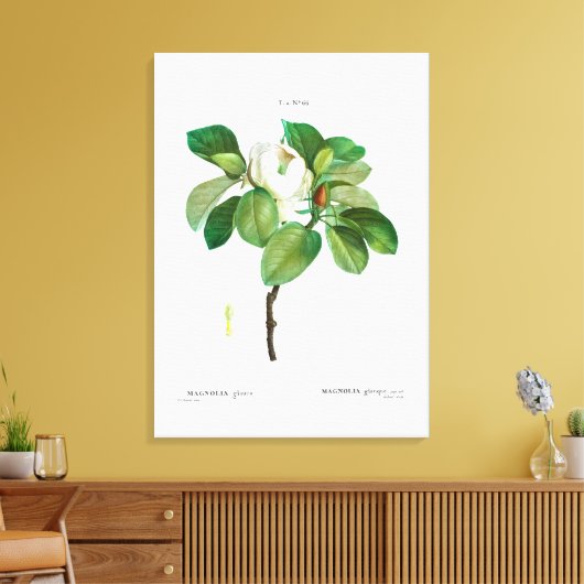 REDOUTÉ  BOTANICAL "MAGNOLIA" CANVAS AFDRUK (Insitu (Woonkamer))