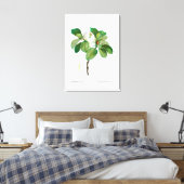 REDOUTÉ  BOTANICAL "MAGNOLIA" CANVAS AFDRUK (Insitu (Slaapkamer))