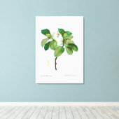 REDOUTÉ  BOTANICAL "MAGNOLIA" CANVAS AFDRUK (Insitu (Houten vloer))