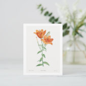 REDOUTÉ BOTANICAL "ORANJE LILY" BRIEFKAART (Staand voorkant)