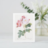 REDOUTÉ BOTANICAL "ROSEBUSH" BRIEFKAART (Staand voorkant)
