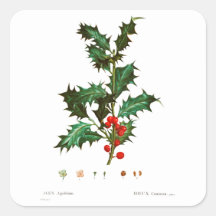 REDOUTÉ CHRISTMAS HOLLY ENVELOPE SEAL STICKER