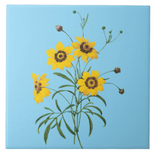 Redoute Coreopsis Bloem Tegel Tegeltje