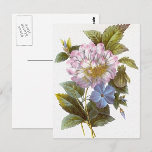 Redoute Flower Bouquet Briefkaart (Voorkant / Achterkant)