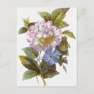 Redoute Flower Bouquet Briefkaart