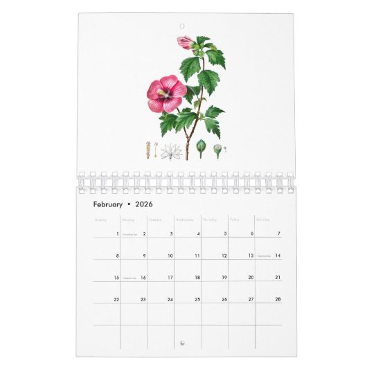 REDOUTÉ FLOWER ILLUSTRATION CALENDER KALENDER (Feb 2026)