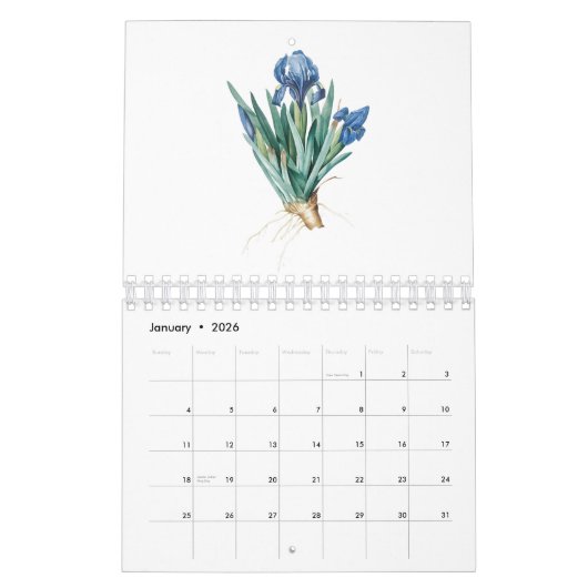 REDOUTÉ FLOWER ILLUSTRATION CALENDER KALENDER (Jan 2026)
