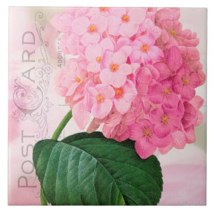 Redoute Franse roze hydrangea keramische tegel Tegeltje