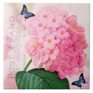 Redoute Franse roze hydrangea keramische tegel Tegeltje