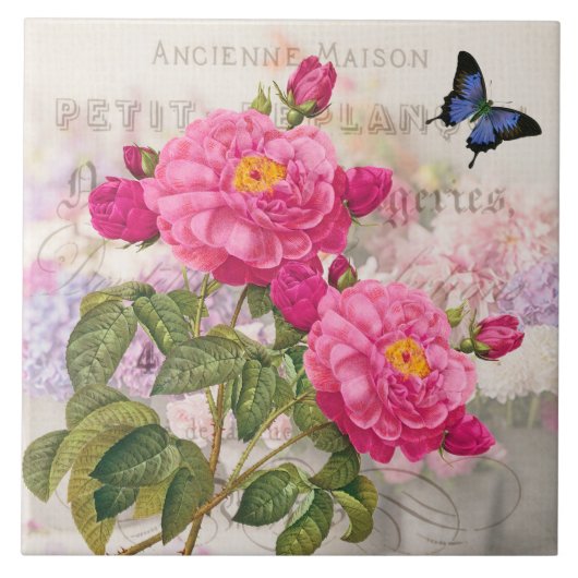 Redoute Franse roze rozen keramische tegel Tegeltje (Voorkant)