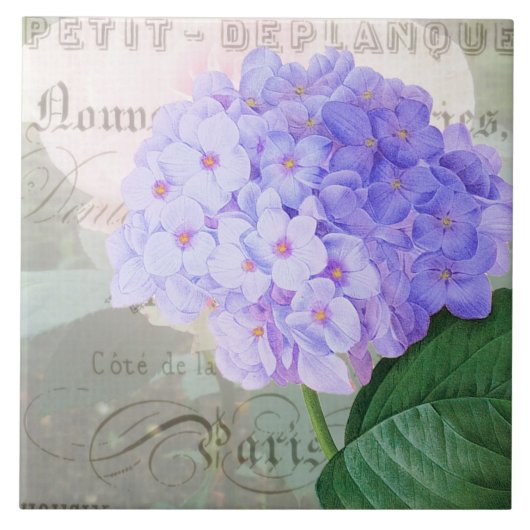 Redoute Hydrangea French Accent Ceramic Tile Tegeltje (Voorkant)