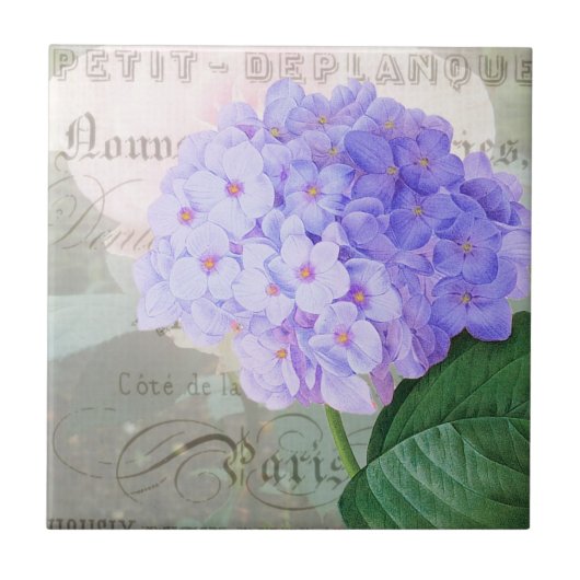 Redoute Hydrangea French Accent Ceramic Tile Tegeltje (Voorkant)
