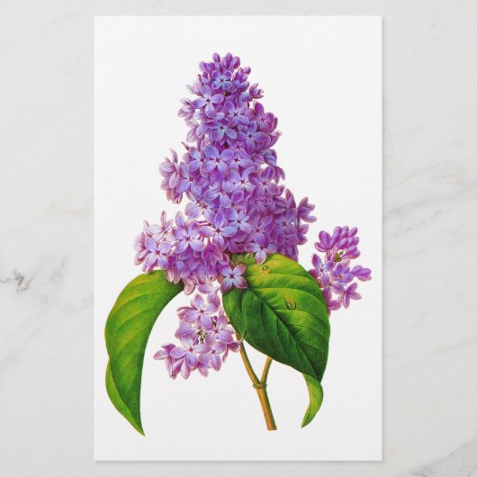 Redoute Lilacs Briefpapier (Voorkant)