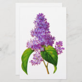 Redoute Lilacs Briefpapier (Voorkant / Achterkant)