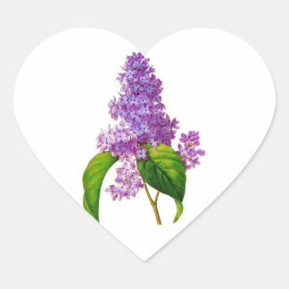 Redoute Lilacs Hart Sticker