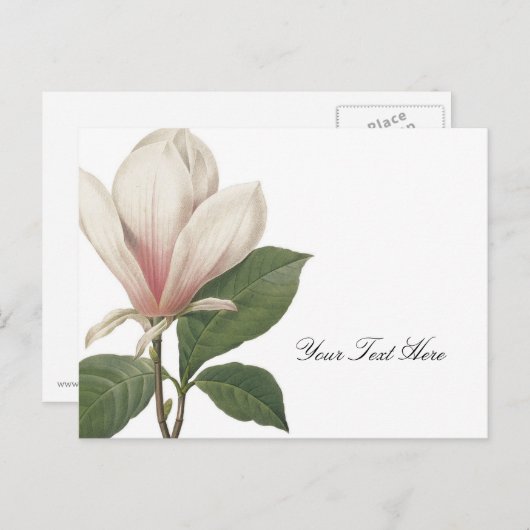 Redoute Magnolia Briefkaart (Voorkant / Achterkant)