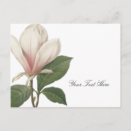 Redoute Magnolia Briefkaart (Voorkant)