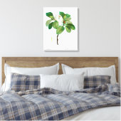REDOUTÉ "MAGNOLIA" STRETCHERDE CANVAS-AFDRUKKING CANVAS AFDRUK (Insitu (Slaapkamer))