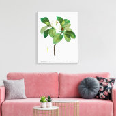 REDOUTÉ "MAGNOLIA" STRETCHERDE CANVAS-AFDRUKKING CANVAS AFDRUK (Insitu (Woonkamer))