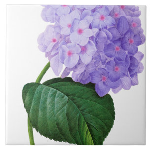 Redoute Paarse hydrangea Onderzetter van keramisch Tegeltje