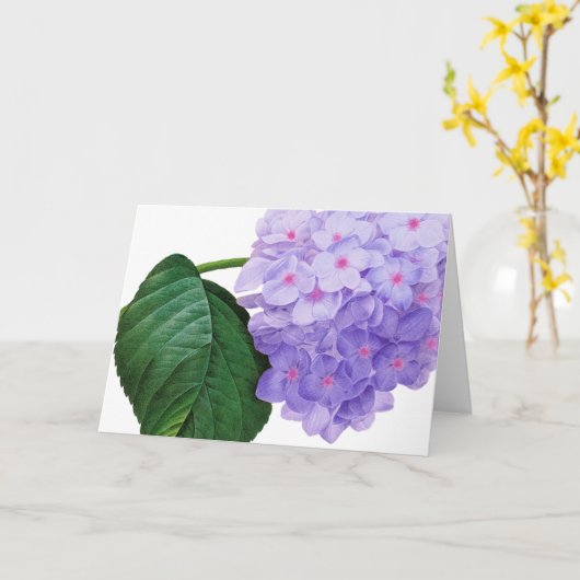 Redoute Paarse Hydrangea Wenskaart Kaart (Gele Bloem)