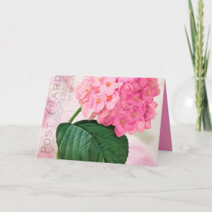 Redoute Pink Hydrangea Birthday Wenskaart Kaart