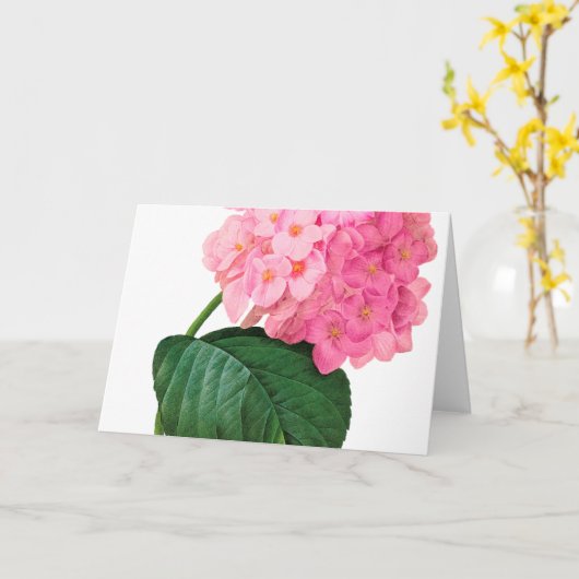 Redoute Pink Hydrangea Wenskaart Kaart (Gele Bloem)