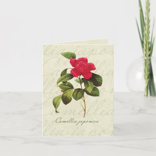Redoute Red Camellia botanische printkaarten Kaart (Voorkant)