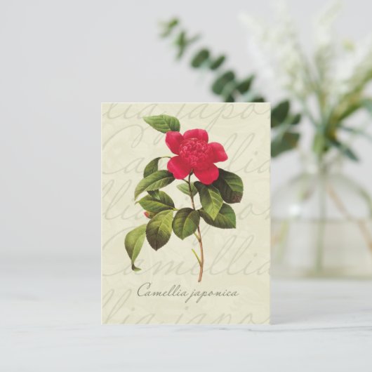 Redoute Red Camellia Briefkaart voor botanische af (Staand voorkant)